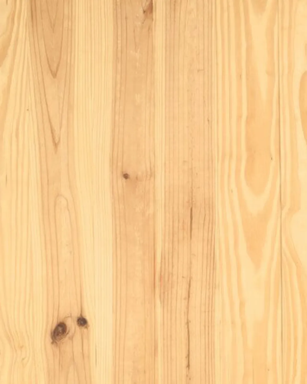 Pinus